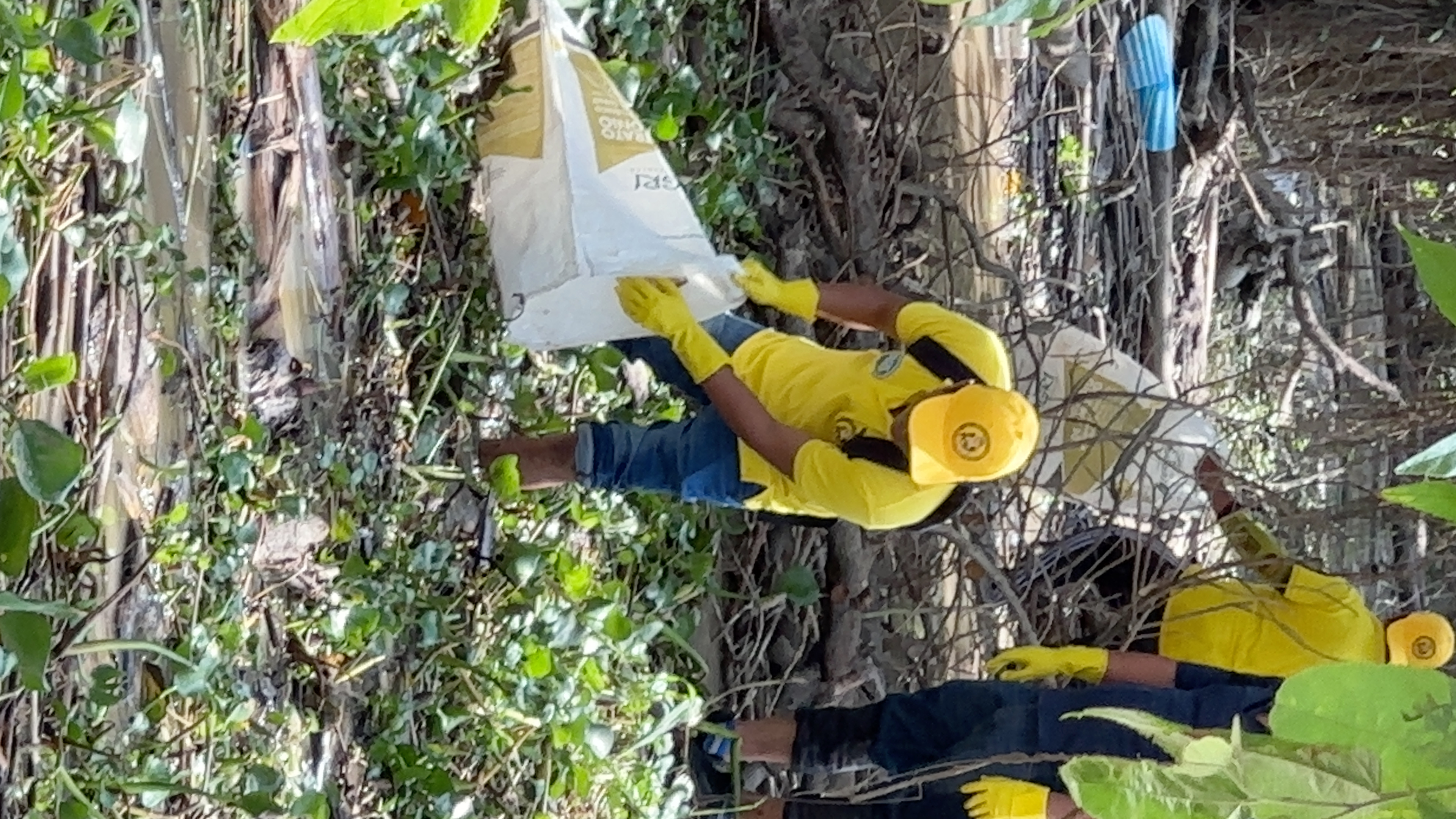 Foto de la galería 4